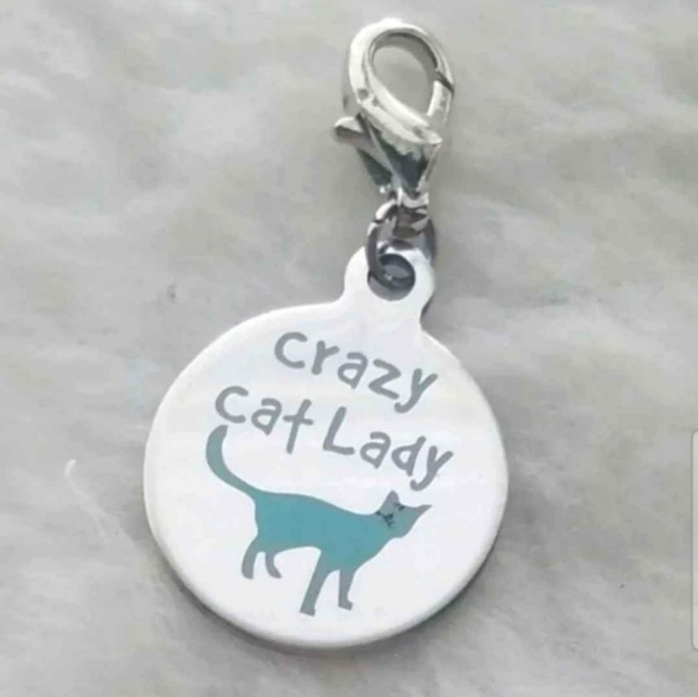 Clip On crazy cat charms clipon planner bracelet